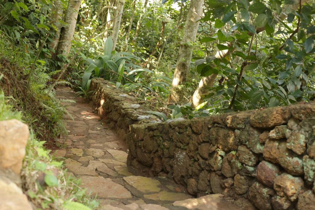 Nkofu-Forest-Cottage-Stone-Walkway